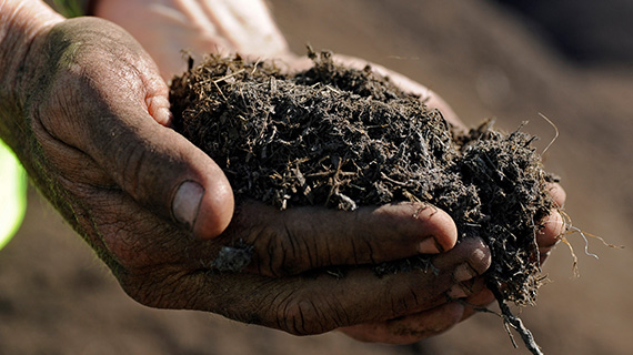 Composting covers