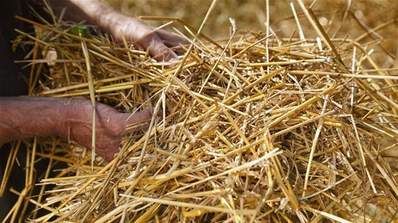 Straw & hay covers